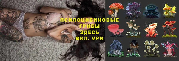 тгк Киреевск
